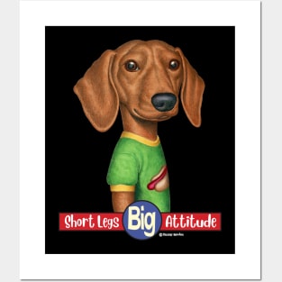 Dachshund Wearing Green T-Shirt Posters and Art